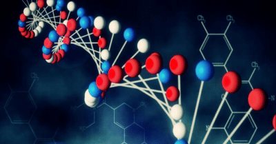 Is High Cholesterol in Your DNA 3 Common Inherited Cardiac Disorders